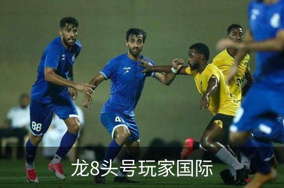 龙8头号玩家国际简介